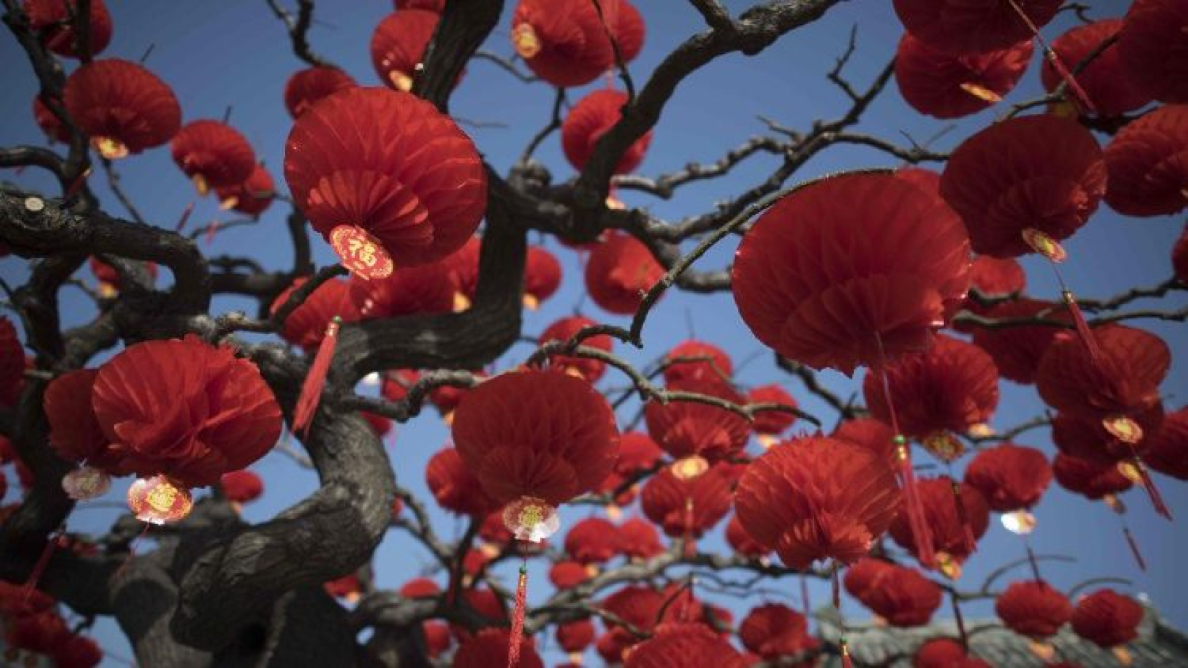 Diálogo cristiano-taoísta, juntos para sanar el mundo fragmentado