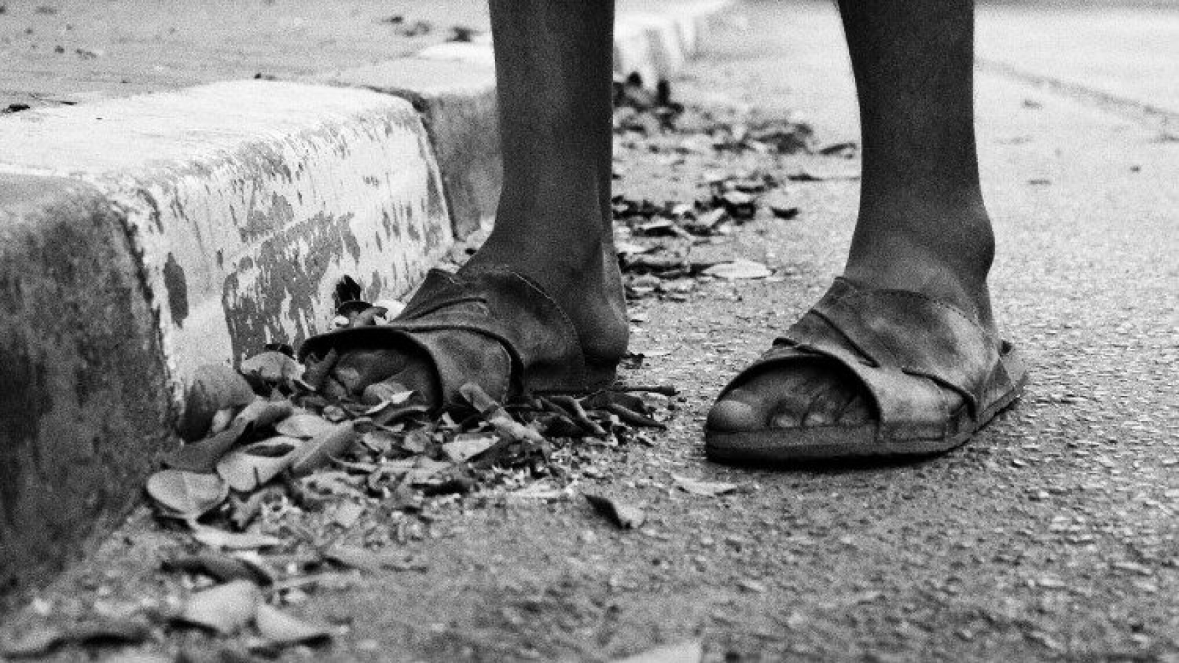 El Papa: Acoger a los vulnerables es vivir con el estilo del Evangelio