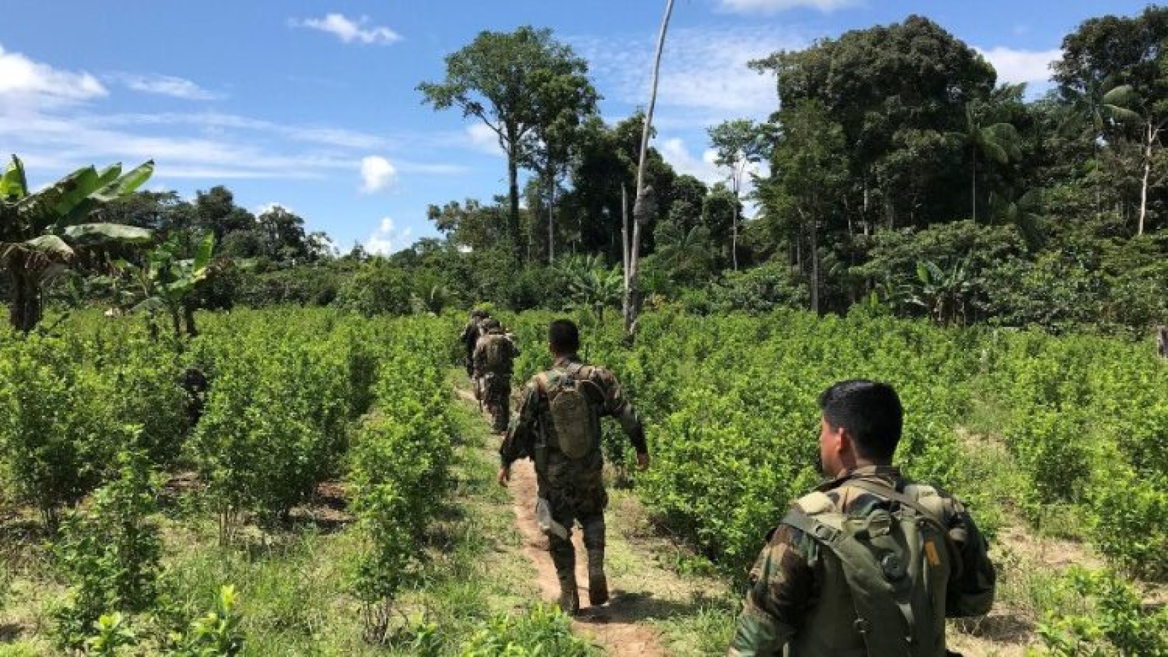CELAM. Obispos expresan su preocupación por el flagelo del narcotráfico: "¡No nos resignemos!"