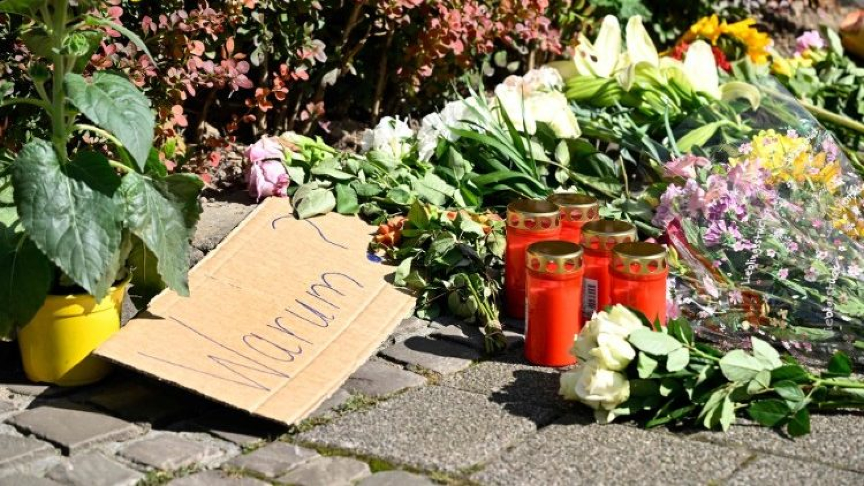Detenido el terrorista de Solingen, un sirio expulsado en el pasado