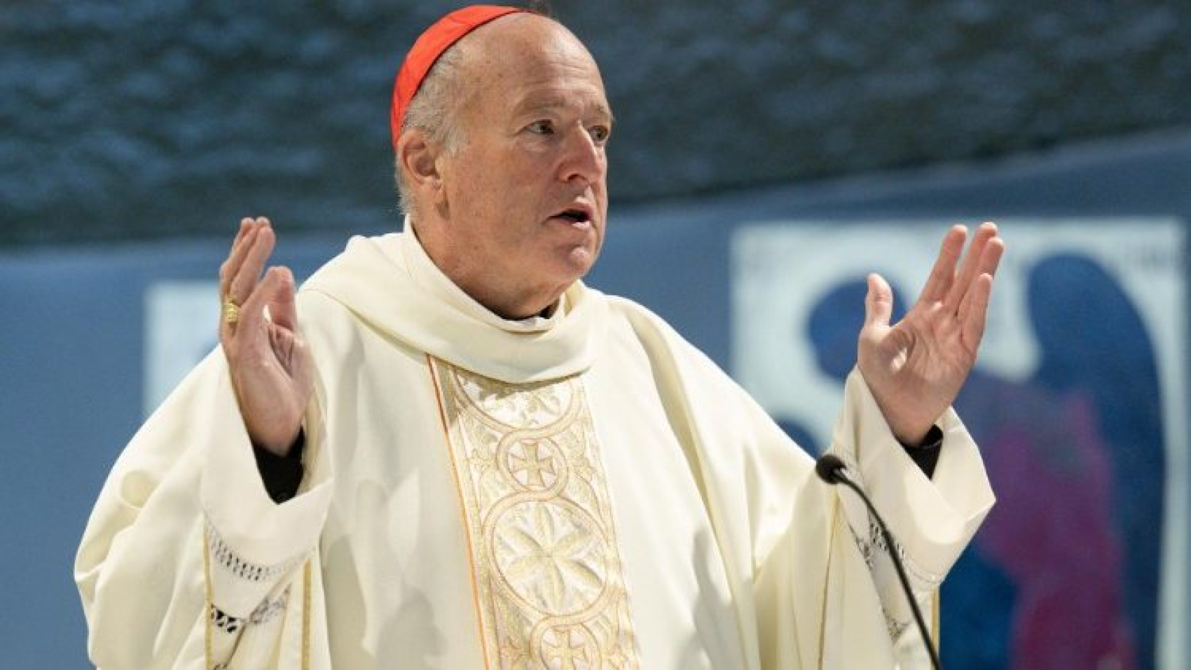 Cardenal McElroy: La violencia es siempre contraria al Evangelio