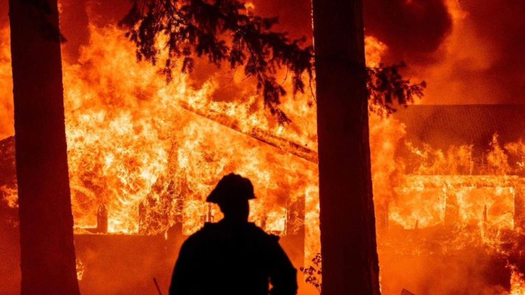 Obispos de Bolivia exhortan a actuar con rapidez ante incendios forestales